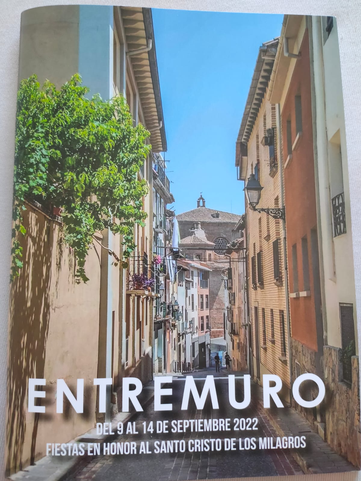 Entremuro