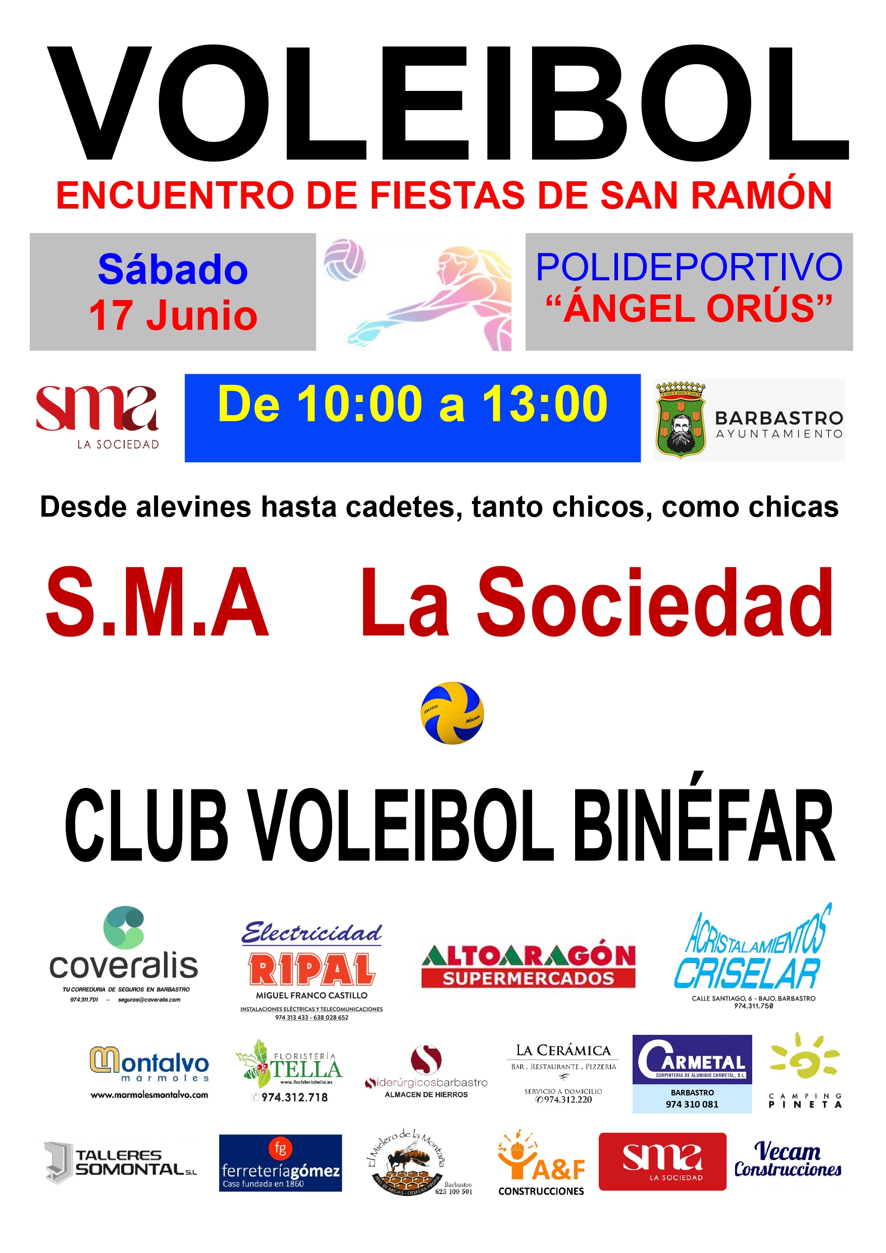 Torneo Voleibol