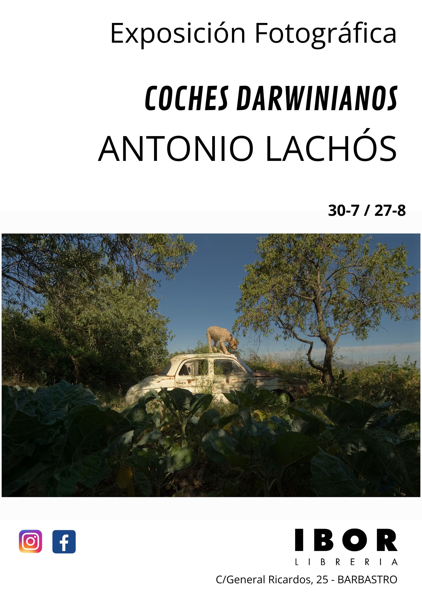 Exposición Lachos en Ibor