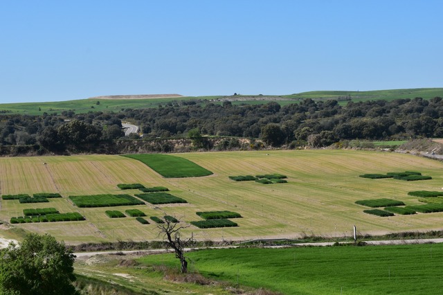 Jornada Cultiva 3