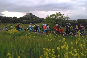 Ciclistas participantes en la marcha anterior. 