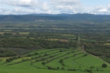 Recorrido botánico por el Somontano. 