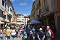 Fiesta_del_plantero_Ayuntamiento_de_Barbastro_1