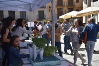 Fiesta_del_plantero_Ayuntamiento_de_Barbastro_3