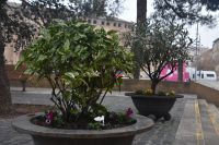 Plaza_Diputacin_1_Ayuntamiento_de_Barbastro