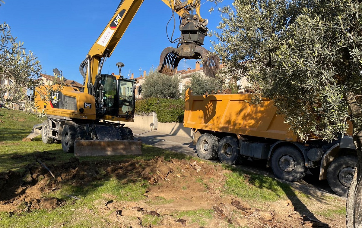 Retirada de tocones Ayuntamiento de Barbastro